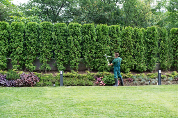 Best Lawn Maintenance Plans  in Strum, WI